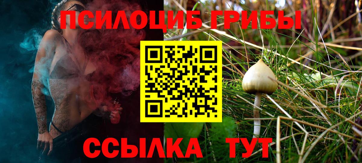 Видное  цена   Вход с VPN  Псилоцибиновые грибы мицелий 