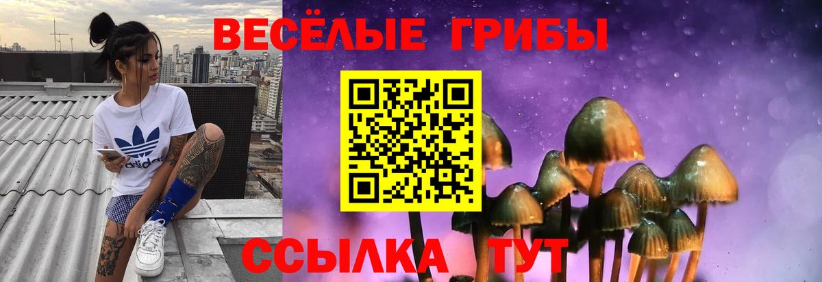 Галлюциногенные грибы прущие грибы Видное